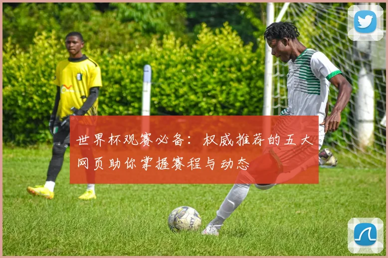 世界杯观赛必备：权威推荐的五大网页助你掌握赛程与动态