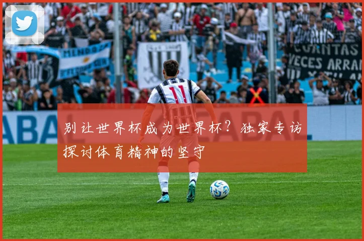 别让世界杯成为世界杯？独家专访探讨体育精神的坚守