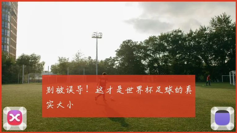 别被误导！这才是世界杯足球的真实大小
