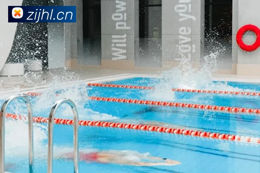 App Interface Preview